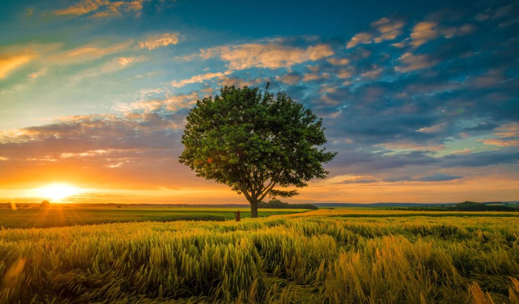 featured image